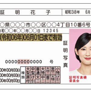 JAPAN DRIVER’S LICENSE